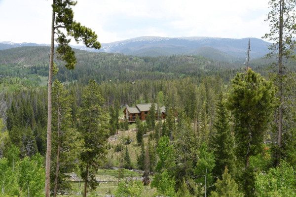 Colorado forest as your backyard.