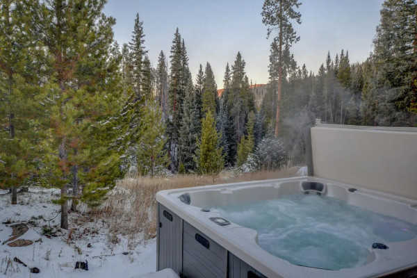 Forest views from the hot tub.